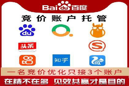 专业SEM账户托管成功案例分享
